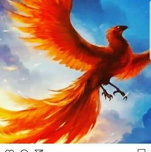 Meet your Posher, Julio